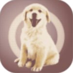 斯洛特確認本場比賽大多首發將出場60分鍾，麥卡利斯特出場30分鍾